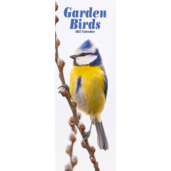 Calendrier Etroit Slim 2027 Oiseaux du Jardin