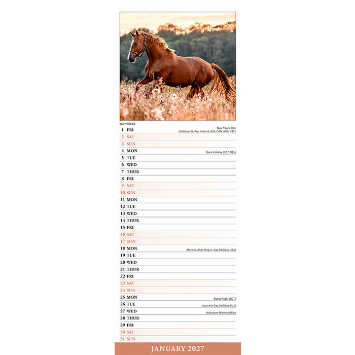 Calendrier 2027 Chevaux