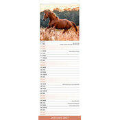 Calendrier 2027 Chevaux