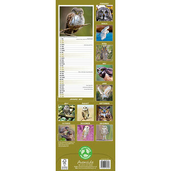 Calendrier Etroit Slim 2027 Chouette