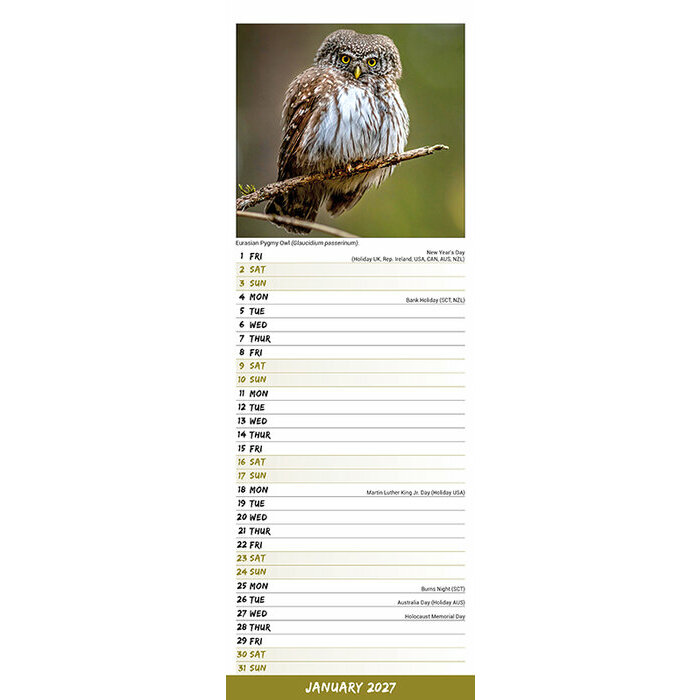 Calendrier 2027 Chouette 