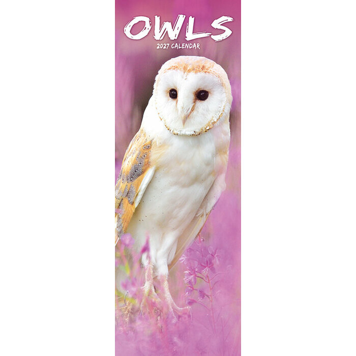 Calendrier Mural 2027 Chouette 