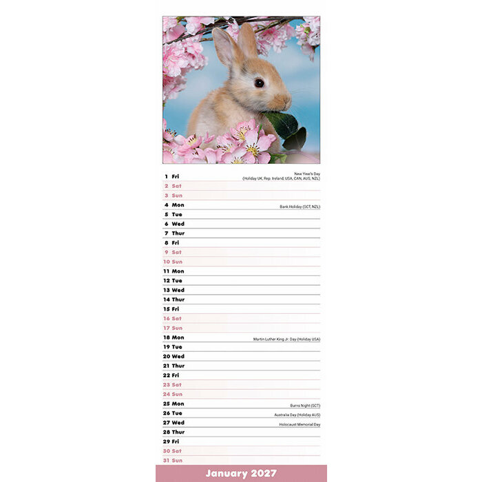 Calendrier papier lapin Etroit 2027