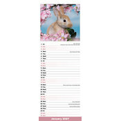 Calendrier papier lapin Etroit 2027