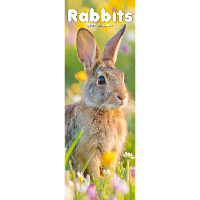 Calendrier Lapin Etroit 2027