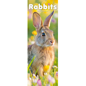 Calendrier Lapin Etroit 2027