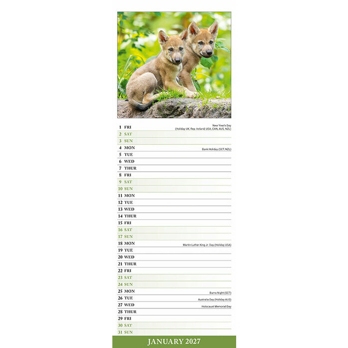 Calendrier papier Loup Etroit 2027