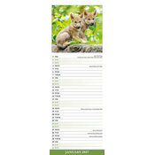 Calendrier papier Loup Etroit 2027