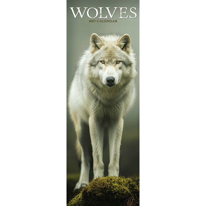 Calendrier Loup Etroit 2027