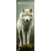 Calendrier Loup Etroit 2027