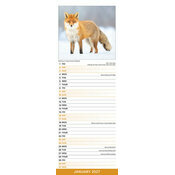 Calendrier  Autonme 2027