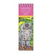 Calendrier Marque Page 2027 Chats et Chatons Calendrier Chatons Tigrés 2027