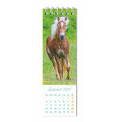 Calendrier Chevaux 2027 marque page Marque pages