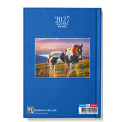 Agenda 2027 Pays Basque port Ciboure