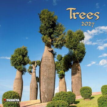 Calendrier 2027 La Magie des Arbres