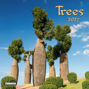 Calendrier 2027 La Magie des Arbres Calendrier Forêt arbre zen 2027
