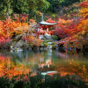 Calendrier Jardin Japonais Papier 2027