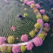 Calendrier Papier Japon 2027 