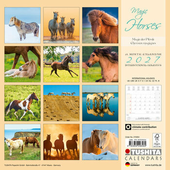 Calendrier 2027 Chevaux Magiques
