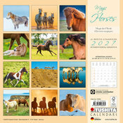 Calendrier 2027 Chevaux Magiques libert�