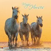 Calendrier 2027 Chevaux Magiques Calendrier 2027 Chevaux Magiques