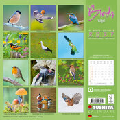 Calendrier 2027 Oiseaux Saison