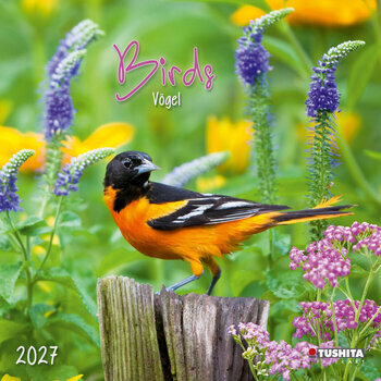 Calendrier 2027 Oiseaux du Jardin Nature For&ecirc;t