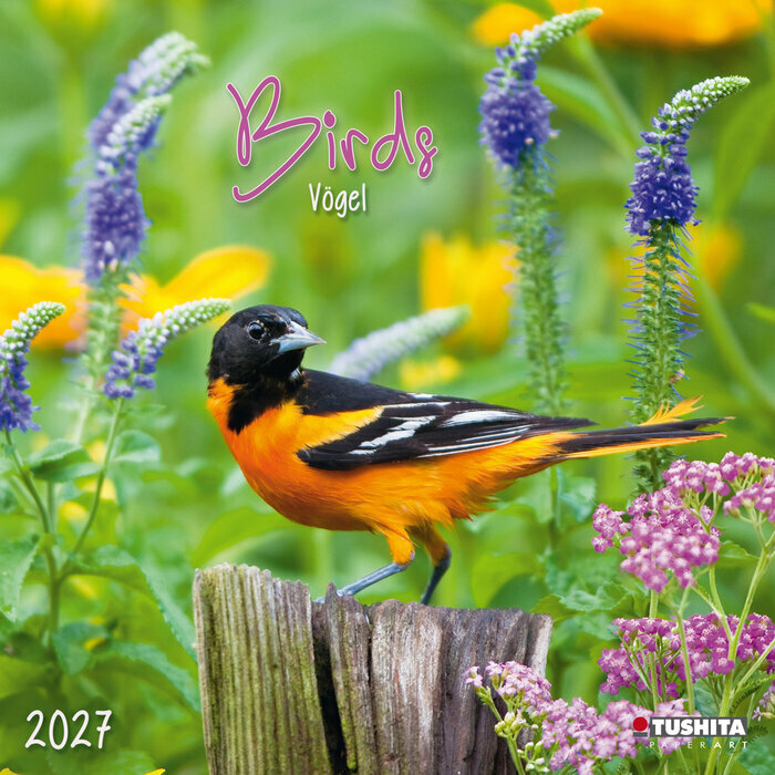 Calendrier 2027 Oiseaux Nature M�sange