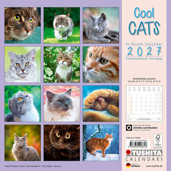 Calendrier 2027 Chats Cool
