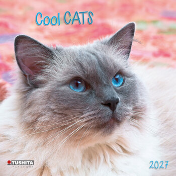 Calendrier 2027 Chats Cool