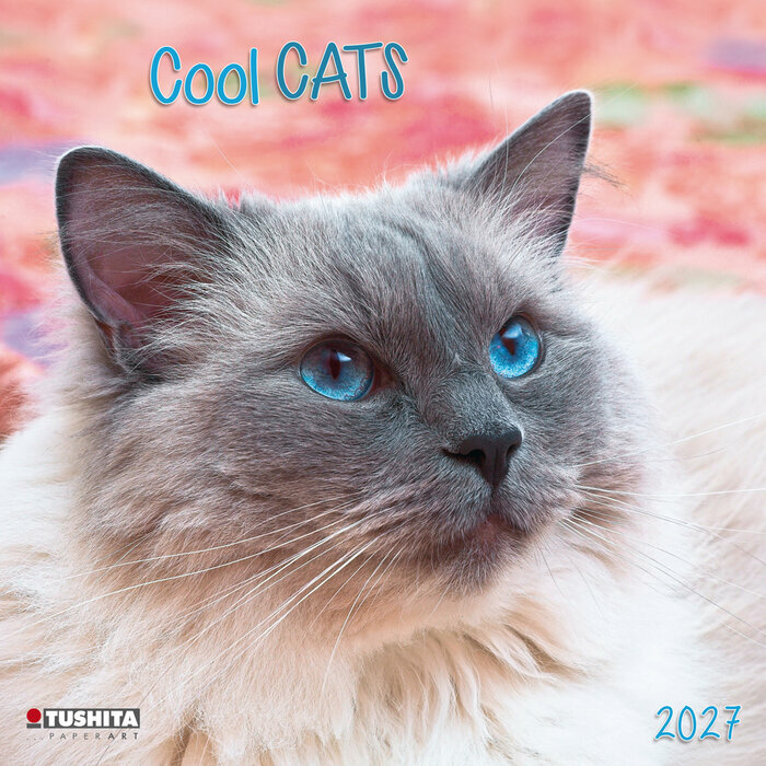 Calendrier 2027 Chats Cool Chartreux