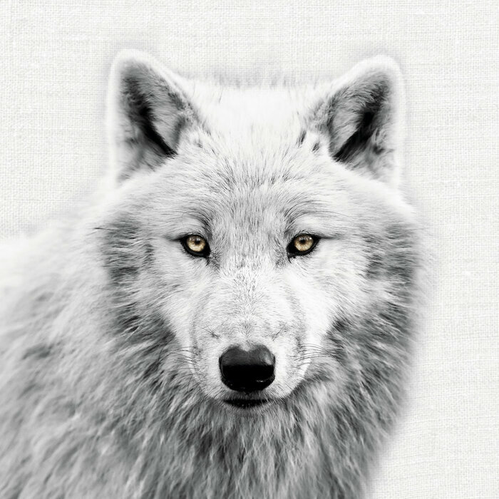 Calendrier 2027 papier Animaux Noir Blanc Herisson