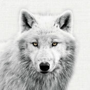 Calendrier 2027 papier Animaux Noir Blanc Herisson