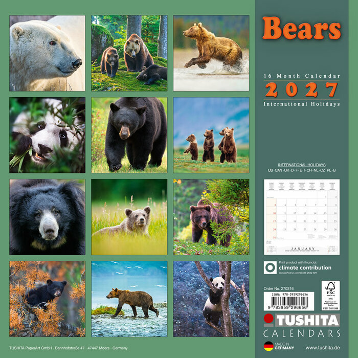 Calendrier Papier 2027 Ours Ourson