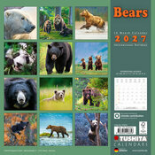 Calendrier Papier 2027 Ours Ourson