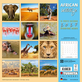 Calendrier 2027 Safari Animaux d'Afrique
