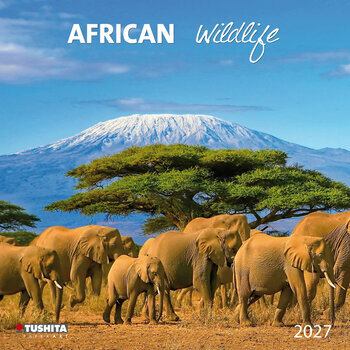 Calendrier 2027 Safari Animaux d'Afrique