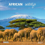 Calendrier Mural 2027 Safari Animaux d'Afrique