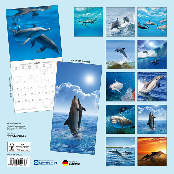 Calendrier Papier 2027 Dauphin Mer