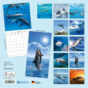 Calendrier Papier 2027 Dauphin Mer