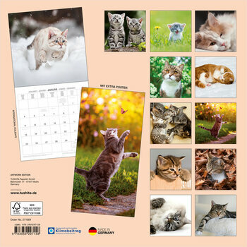 Calendrier 2027 Chats et Chatons avec Poster Offert