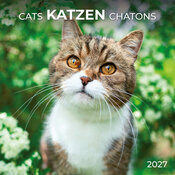 Calendrier Papier Chat Gris 2027