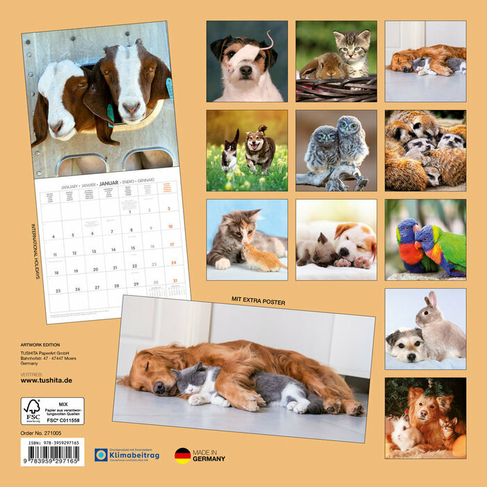 Calendrier 2027 couple Panda Animaux