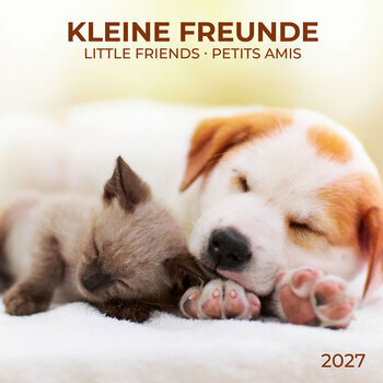 Calendrier 2027 Animaux Amis avec Poster Offert