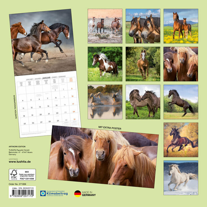 Calendrier Papier 2027 Chevaux Champ Fleur