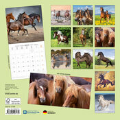 Calendrier Papier 2027 Chevaux Champ Fleur