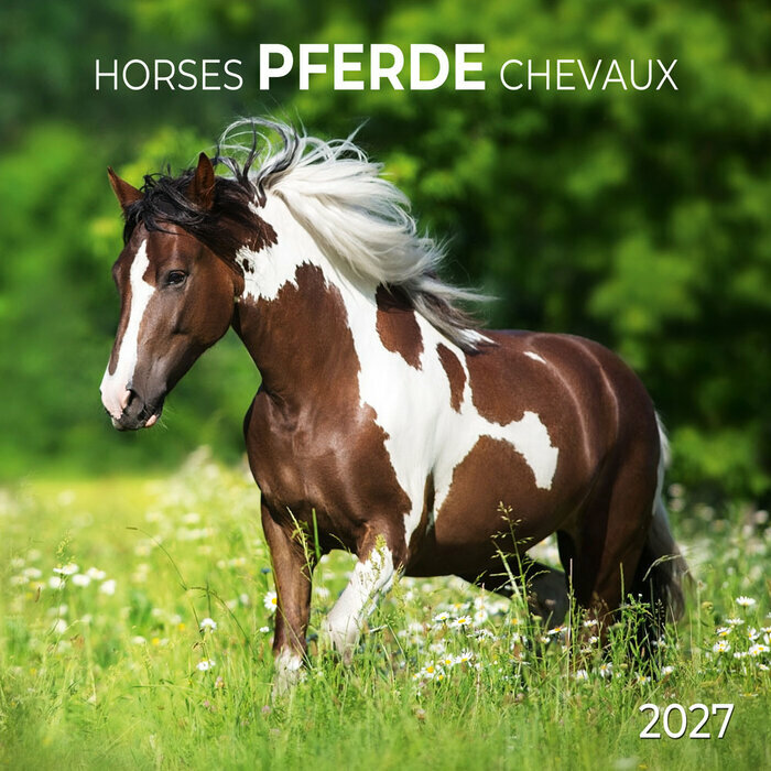 Calendrier Mural 2027 Chevaux Champ Fleur