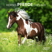 Calendrier Mural 2027 Chevaux Champ Fleur