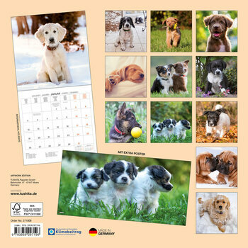 Calendrier 2027 Chiots avec Poster Offert