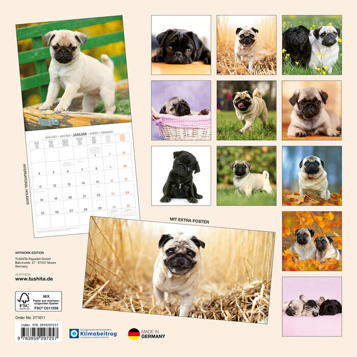 Calendrier Papier Chien de Race Carlin 2027